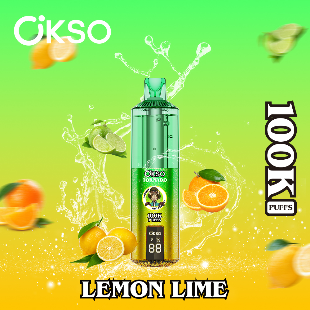 OKSO 100000 Puff 100K Disposable Vape Type C Charge 12 Flavors, 850 mah Battery, 0%/2%/3%/5% Nicotine - Yohongvape wholesale disposable vape