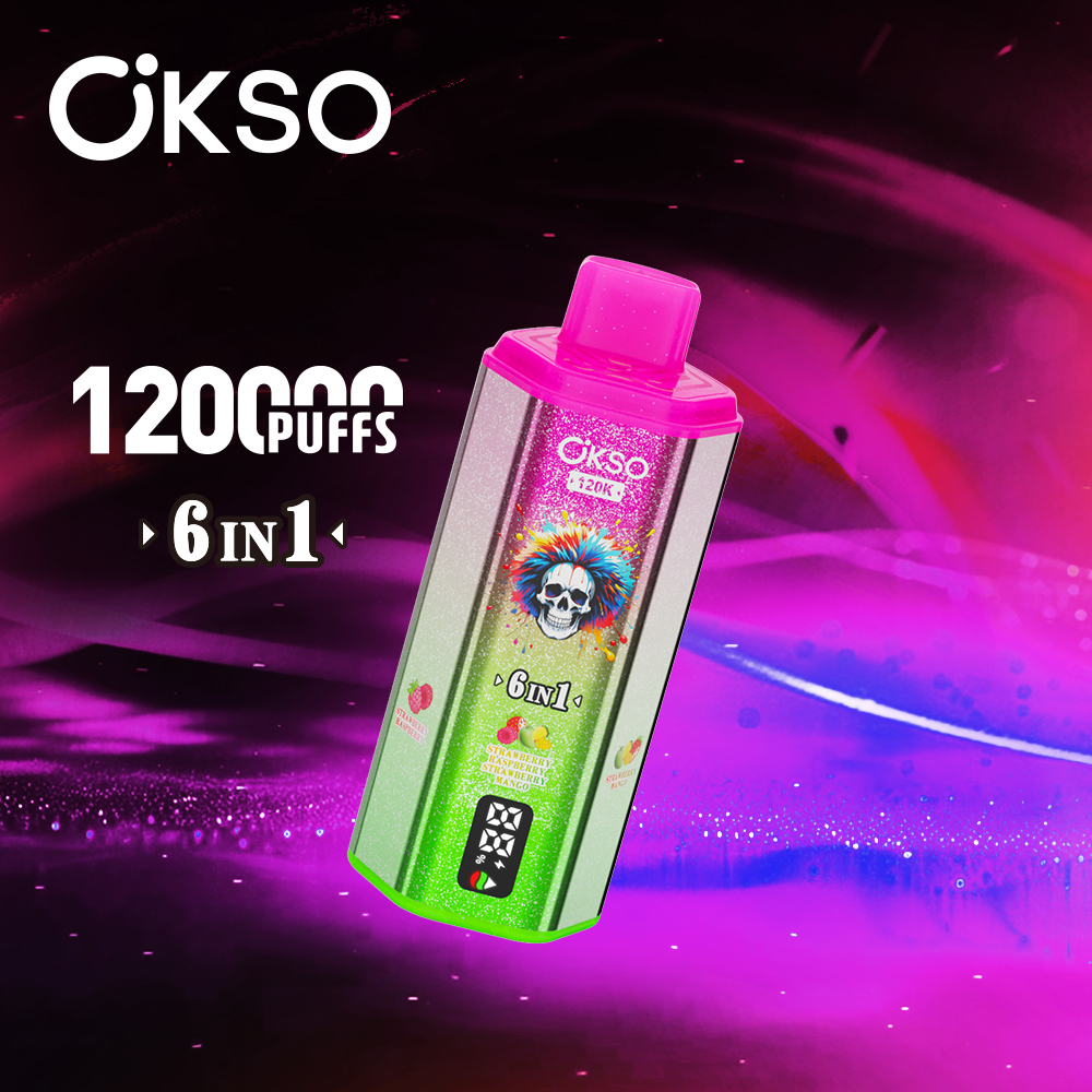 OKSO 120000 Puff 120K 6 in1 Disposable Vape Type C Charge 10 Flavors, 850 mah Battery, 0%/2%/3%/5% Nicotine - Yohongvape wholesale disposable vape