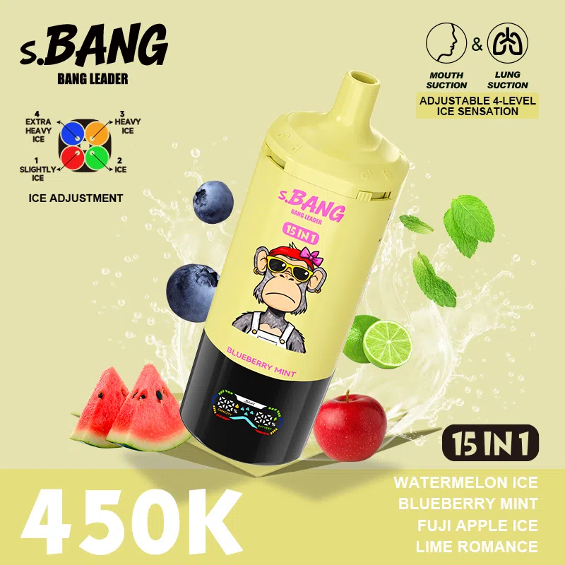 Bang Leader 450K Vape– 15 in 1 Flavors Adjustable 4-Level Ice | 450,000 Puffs - Yohongvape wholesale disposable vape
