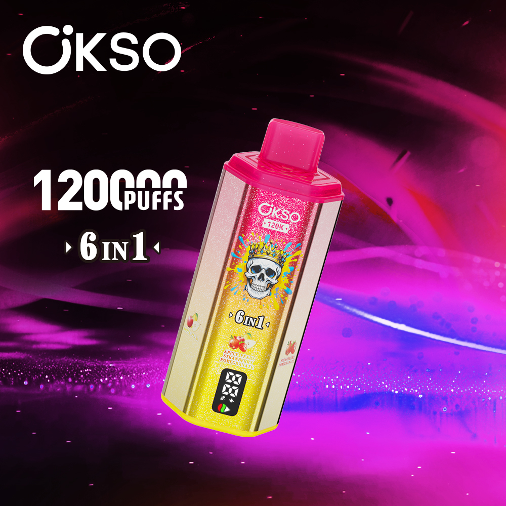 OKSO 120000 Puff 120K 6 in1 Disposable Vape Type C Charge 10 Flavors, 850 mah Battery, 0%/2%/3%/5% Nicotine - Yohongvape wholesale disposable vape