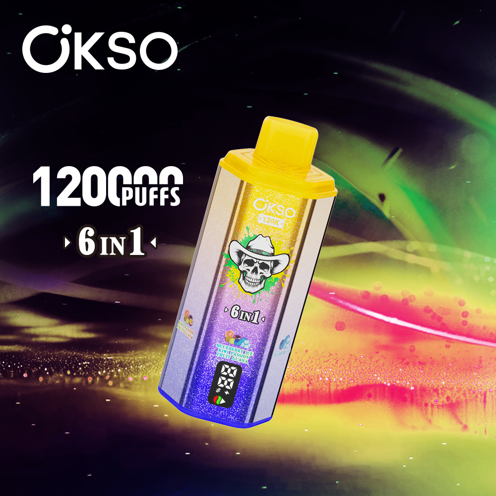 OKSO 120000 Puff 120K 6 in1 Disposable Vape Type C Charge 10 Flavors, 850 mah Battery, 0%/2%/3%/5% Nicotine - Yohongvape wholesale disposable vape
