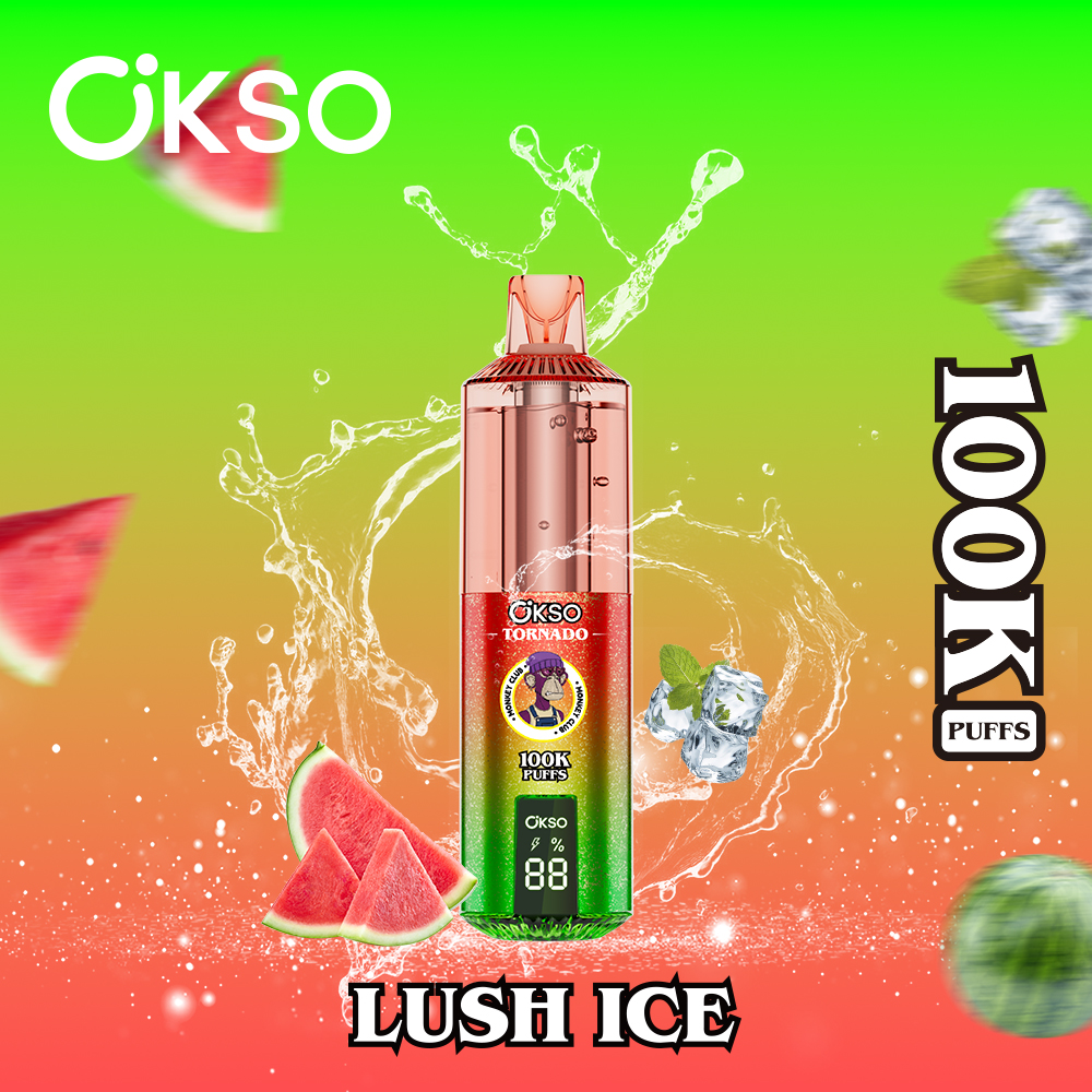 OKSO 100000 Puff 100K Disposable Vape Type C Charge 12 Flavors, 850 mah Battery, 0%/2%/3%/5% Nicotine - Yohongvape wholesale disposable vape